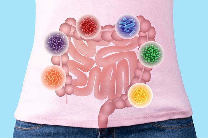 Совокупность всех бактерий, которые живут в нашем кишечнике, называют микробным пейзажем или микрофлорой.