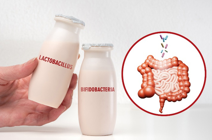 Микрофлора кишечника содержит лактобактерии и бифидобактерии