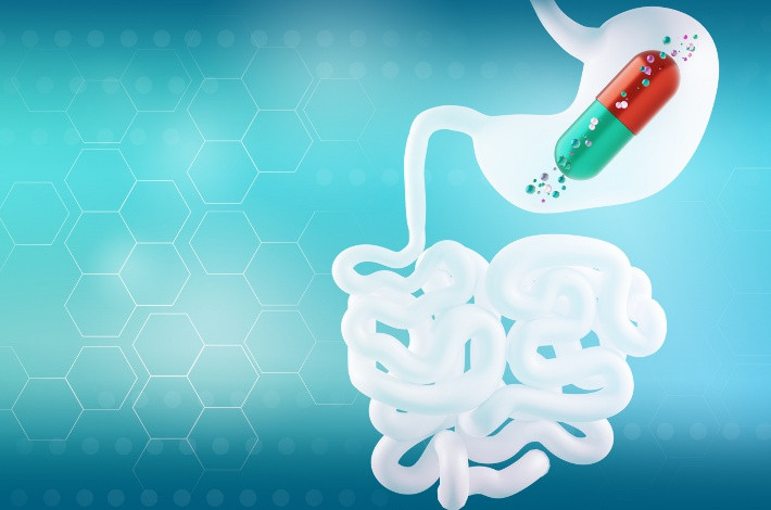 Споробактерин действует как антибиотик для вредных микроорганизмов в кишечнике