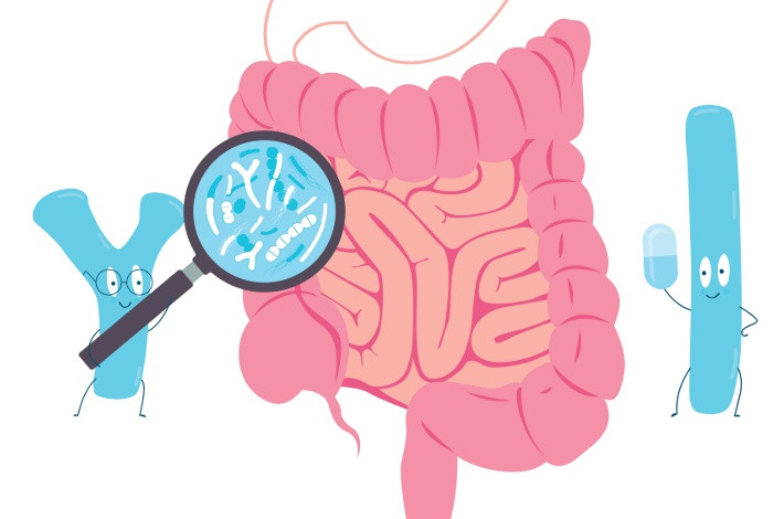 В Бификол входят бифидобактерии и кишечная палочка