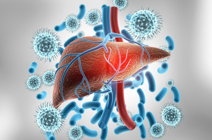Альгерон назначается для лечения гепатита С и цирроза печени.
