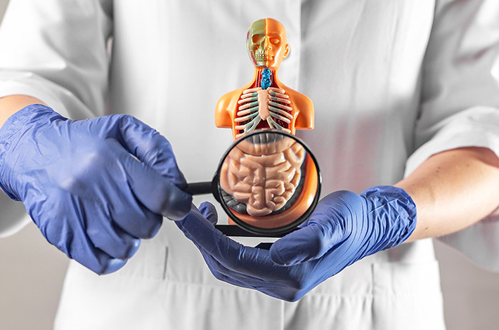 Аципол подавляет рост вредных бактерий