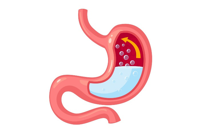 Симеотик действует в высвобождается и действует в ЖКТ.