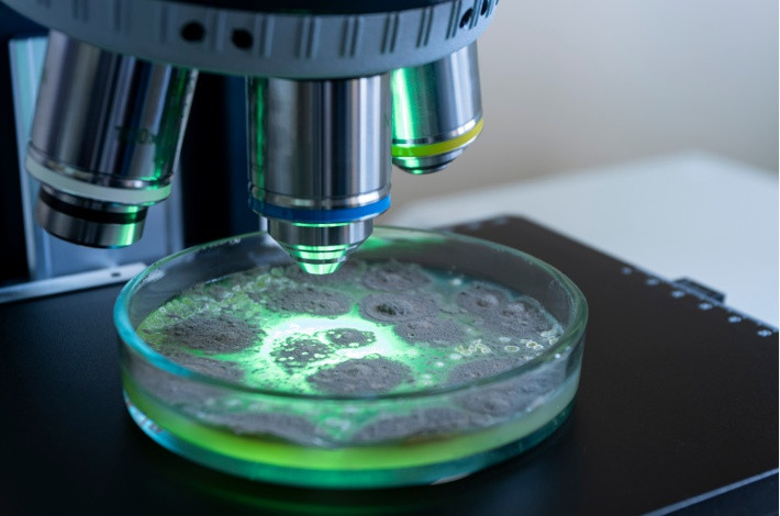 Лекарственный препарат может как просто остановить рост бактерий, так и вызвать их гибель.