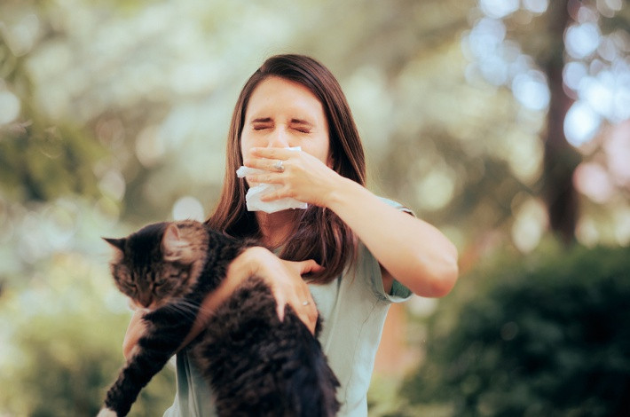 Гистаминоблокаторы помогают держать аллергию под контролем.
