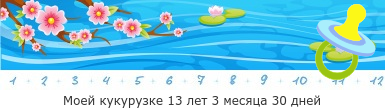 Создать, линеечку, беременность, для, планирующих, детские, бэби.ру
