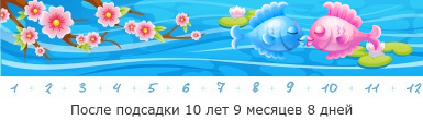 Создать, линеечку, беременность, для, планирующих, детские, бэби.ру