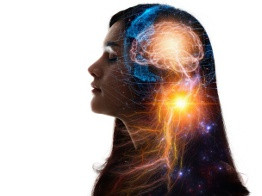 Чтение мыслей и выращивание мини-мозга в пробирке: всё, что тебе нужно знать о нейронауках в России