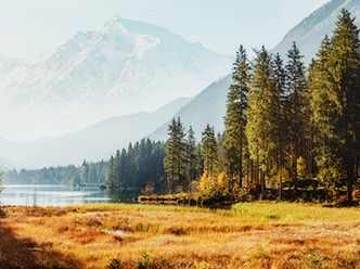 Моя земля – мое богатство: будущее за природными ресурсами. Выбери профессию, которая будет актуальна всегда