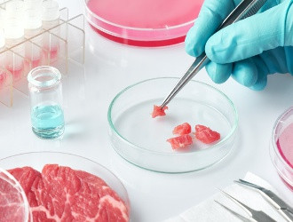Мясо из пробирки