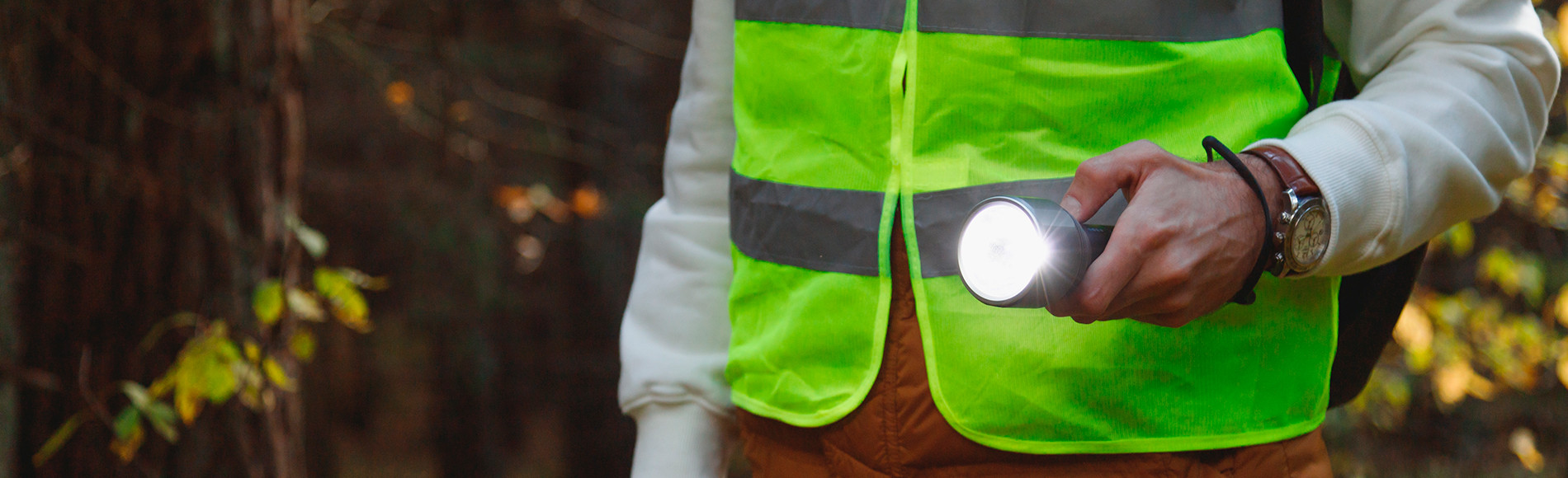 ЛизаАлерт - поиск людей