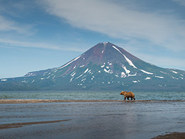 Зиплайн, сап и виа-феррата: ТОП-7 доступных экстремальных развлечений для подростков, о которых ты и не слышал!
