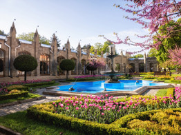 Как школьнику бесплатно поехать в санаторий?