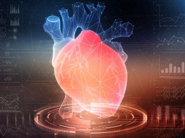 Биоинженерия: как вырастить почку в пробирке и напечатать глаз на принтере?