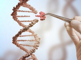 Лекарство от рака и мамонт из пробирки: что может генная инженерия?