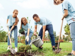 Озеленение – необходимость для жизни в городе