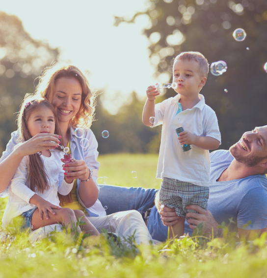 Традиционная семья