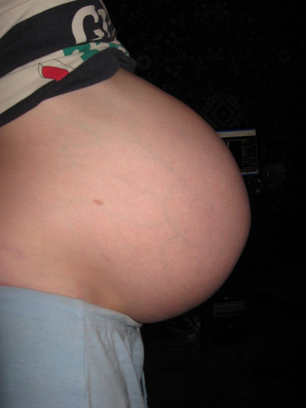 живот на 8 месяце. живот на восьмом месяце беременности. беременные на 8 месяце. животы беременных на поздних сроках. животик на 5 месяце беременности.